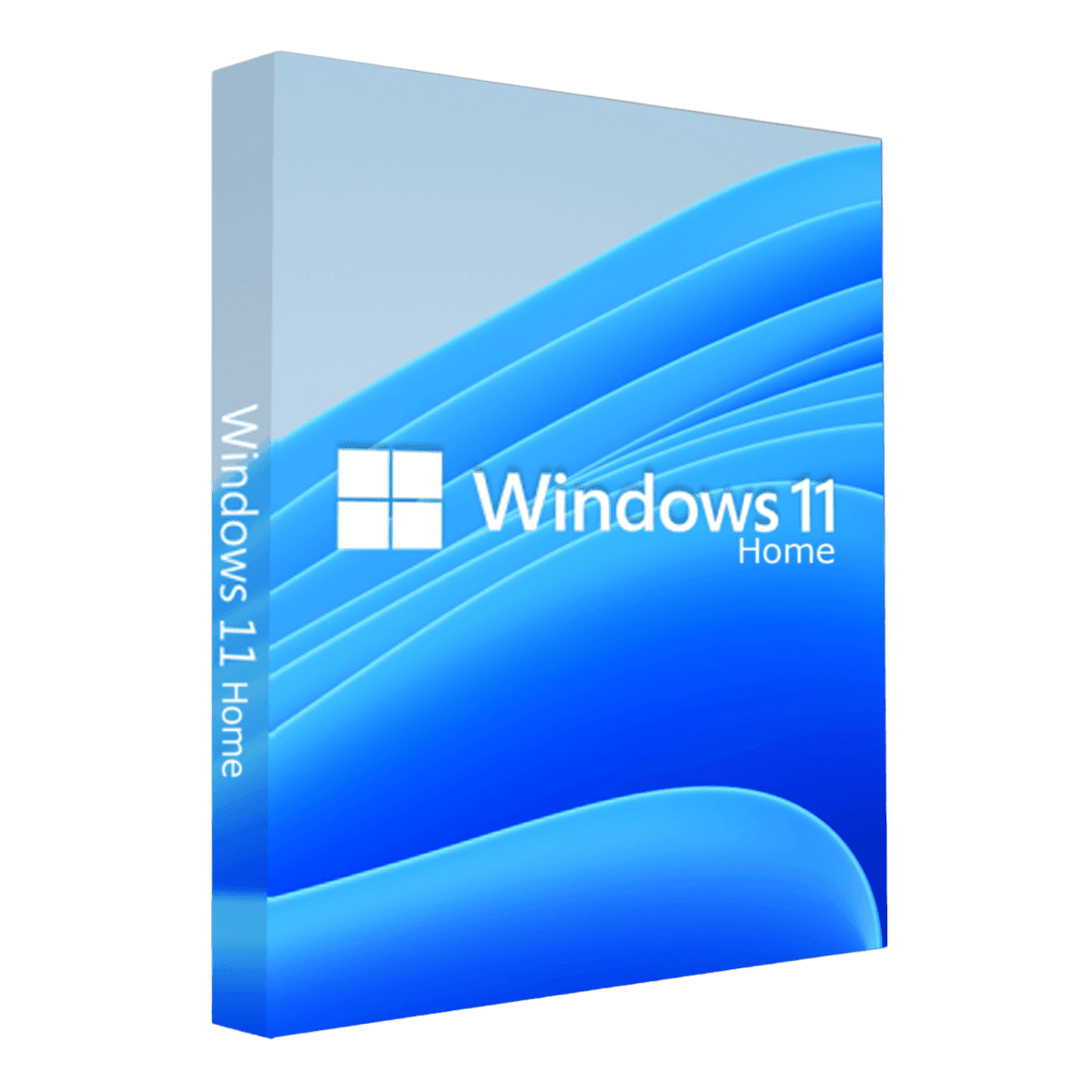 Microsoft Windows 11 Home