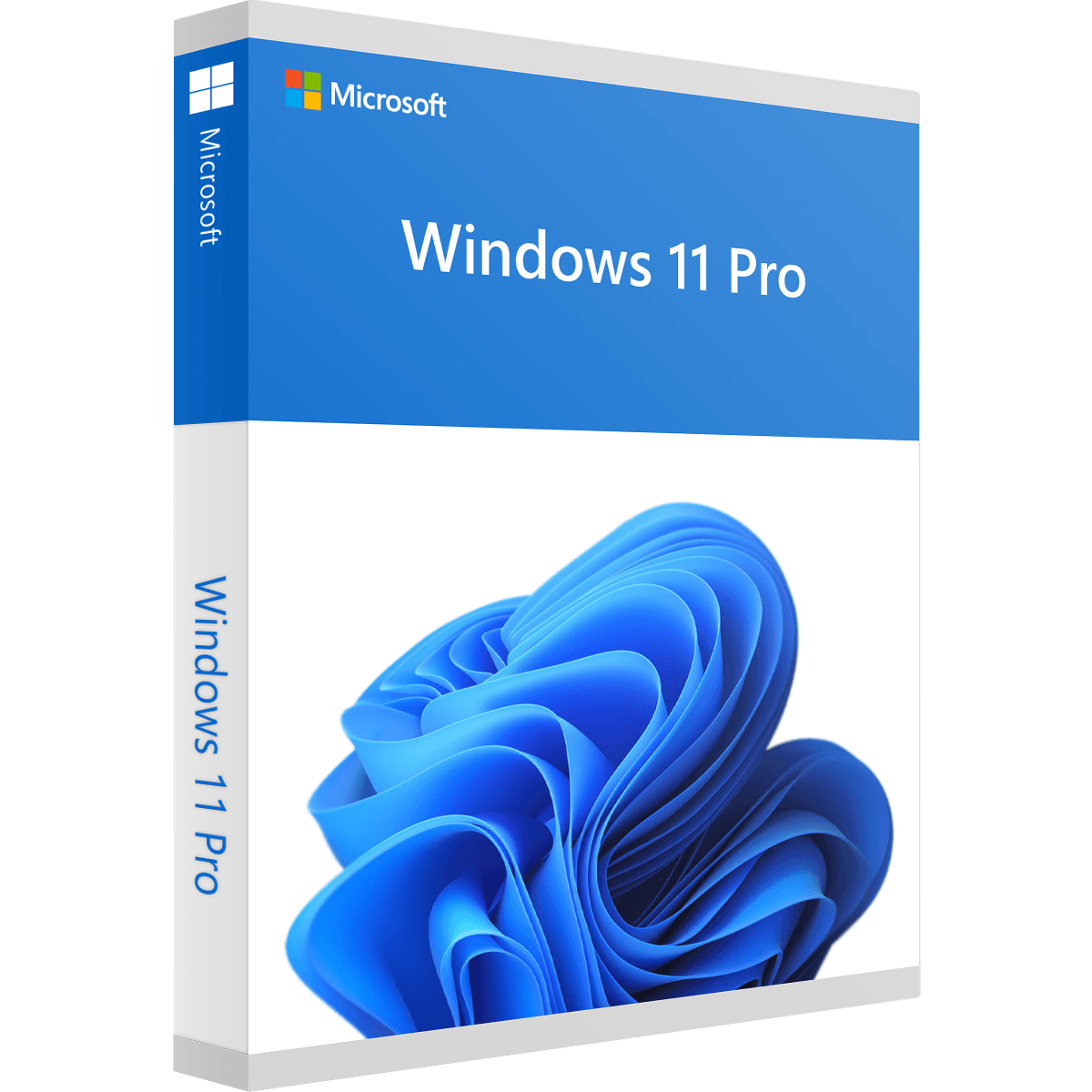 Microsoft Windows 11 Pro